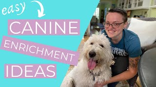 Enrichment for Dogs Easy Dog Enrichment Ideas  THE KIND CANINE [upl. by Mariellen]