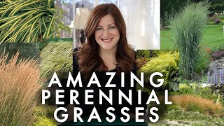 10 Perennial Grasses I Absolutely Love 🌾💚 Garden Answer [upl. by Shum760]