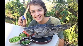 Australian BASS  Catch n Cook [upl. by Cain]