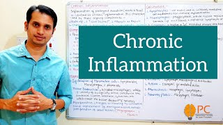 Inflammation Part 4 Pathophysiology of Chronic Inflammation [upl. by Jael]