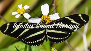 Best Tinnitus Sound Therapy Ever [upl. by Adelind]