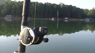 Review of Daiwa Sealine SG 27 LCA Line Counter Reels [upl. by Ellehcan149]