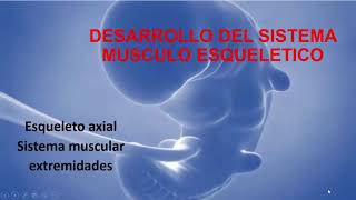 Desarrollo del sistema musculoesquelético [upl. by Dario275]