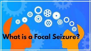 What is a focal seizure [upl. by Rouvin640]