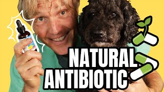 Natural Antibiotics to PREVENT and TREAT Infection [upl. by Auqenahc]