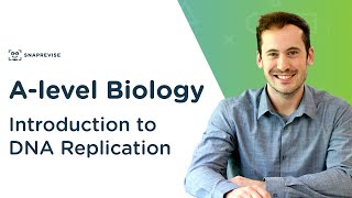 Introduction to DNA Replication  Alevel Biology  OCR AQA Edexcel [upl. by Sella961]