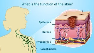 Understanding Melanoma [upl. by Eirac]