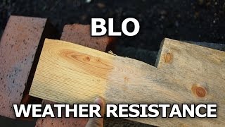 Boiled Linseed Oil Weather Resistance On Wood [upl. by Rosenzweig625]