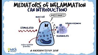 Mediators of Inflammation An Introduction [upl. by Leanna]