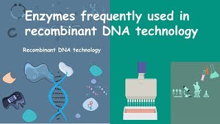 Enzymes used in Recombinant DNA Technology [upl. by Ellebana504]