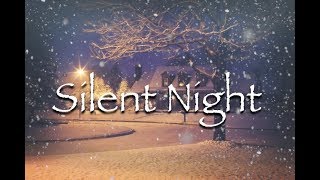 Silent Night  Instrumental [upl. by Clite]