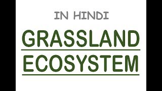 Grassland Ecosystem Tropical amp Temperate Explained With MAPS In Hindi [upl. by Enelram]