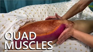 How to Massage the Quadriceps [upl. by Harias]