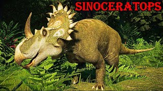 sinoceratops [upl. by Nyleve]