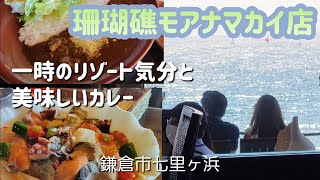 珊瑚礁カレーの美味しいレストラン [upl. by Neimad]