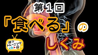 第1回「食べる」のしくみ 嚥下トレーニングチャンネル Swallowing structure SWALLOW TRAINING ASSOCIATION [upl. by Anihs]