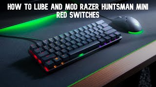 How To Lube And Mod Razer Huntsman Mini Red Switches [upl. by Assin]