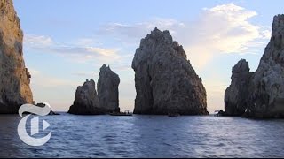 What to Do in Los Cabos Mexico  36 Hours Travel Videos  The New York Times [upl. by Ttezil79]