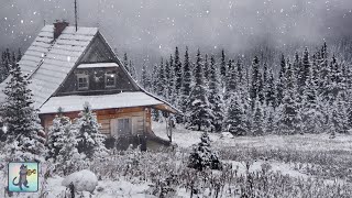 Relaxing Snowfall Beautiful Falling Snow  The Best Relax Music [upl. by Ashley]