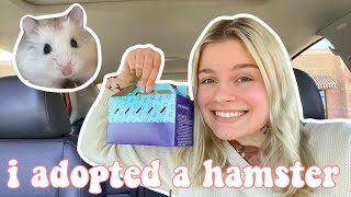 i adopted a hamster  getting my robo dwarf hamster vlog [upl. by Callahan765]