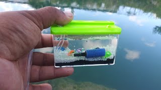 WORLDS SMALLEST Fish AQUARIUM REAL [upl. by Collbaith]