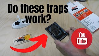 TOMCAT Glue Traps Mouse Size with Eugenol for Enhanced Stickiness  6 Mouse Size Traps  Review [upl. by Parsifal]