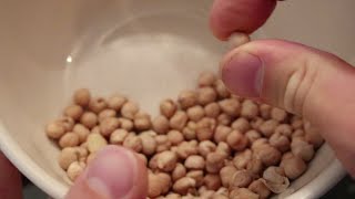 How to Cook Dried Garbanzo Beans Chick Peas [upl. by Madaras]