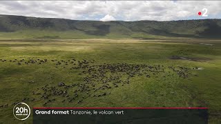 Tanzanie Le cratère du Ngorongoro un paradis pour les animaux [upl. by Uyekawa735]