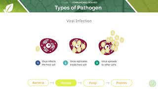 AQA GCSE Biology Communicable Infectious Diseases [upl. by Fiona224]