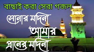 Sonar Madina Amr Praner Madina  সোনার মদিনা  New Gojol [upl. by Nhor]