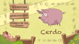 Las características del CERDO [upl. by Sirtaeb272]