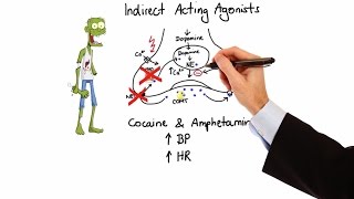 Pharmacology  ADRENERGIC RECEPTORS amp AGONISTS MADE EASY [upl. by Nauhs]