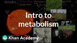 Introduction to metabolism anabolism and catabolism  Khan Academy [upl. by Orrin]