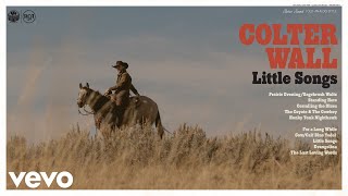 Colter Wall  For a Long While Audio [upl. by Libove]