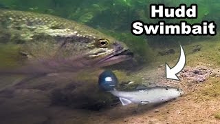 Craziest Underwater Swimbait Footage You Have EVER Seen Huddleston GoPro Big Bass [upl. by Adnhoj962]