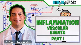 Immunology  Inflammation Vascular Events Part 1 [upl. by Lynch616]