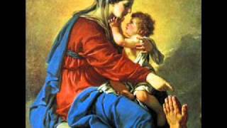 Salve Mater Misericordiae  Catholic Song of Praise to Mary [upl. by Anujra85]