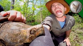 CRAZY Alligator Snapping Turtle Bite [upl. by Anillek]