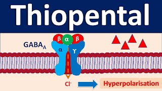 Thiopental  An IV anesthetic [upl. by Rashida]