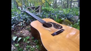 1941 D18 Martin Monel strings Zoom H2N [upl. by Eelyrag]