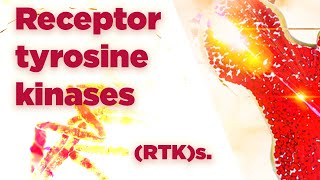 Receptor tyrosine kinases  RTKs  Cell Signaling [upl. by Anson]