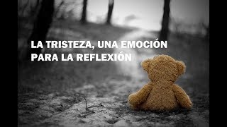 La tristeza una emoción para la reflexión [upl. by Azirb]