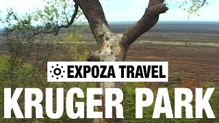 Kruger National Park Vacation Travel Video Guide [upl. by Hamilton766]