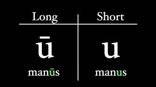 The Latin Alphabet  Vowel Pronunciation [upl. by Iila]