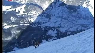 Ueli Steck Neuer Speed Rekord am Eiger [upl. by Vena]