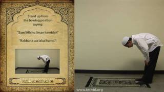 How to Pray  Asr Afternoon Pray  Fardh [upl. by Assylla87]