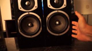 Paradigm Reference Studio 40 v2 Speakers amp Martin Logan Subwoofer Demo Display [upl. by Rexfourd126]