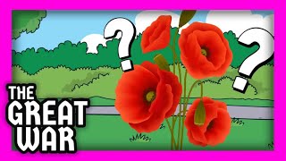 Why do we wear poppies [upl. by Addie85]