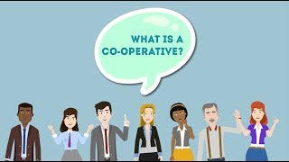 What is a coop [upl. by Schulze979]