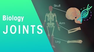 Joints  Physiology  Biology  FuseSchool [upl. by Assilana184]